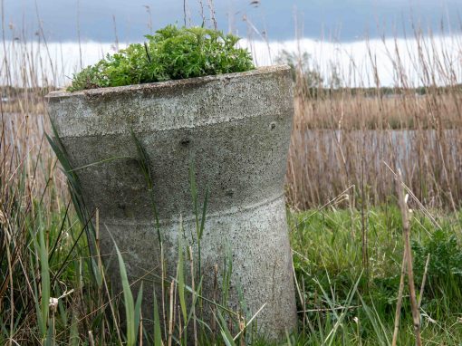 Veranderend landschap – 14 afbeeldingen